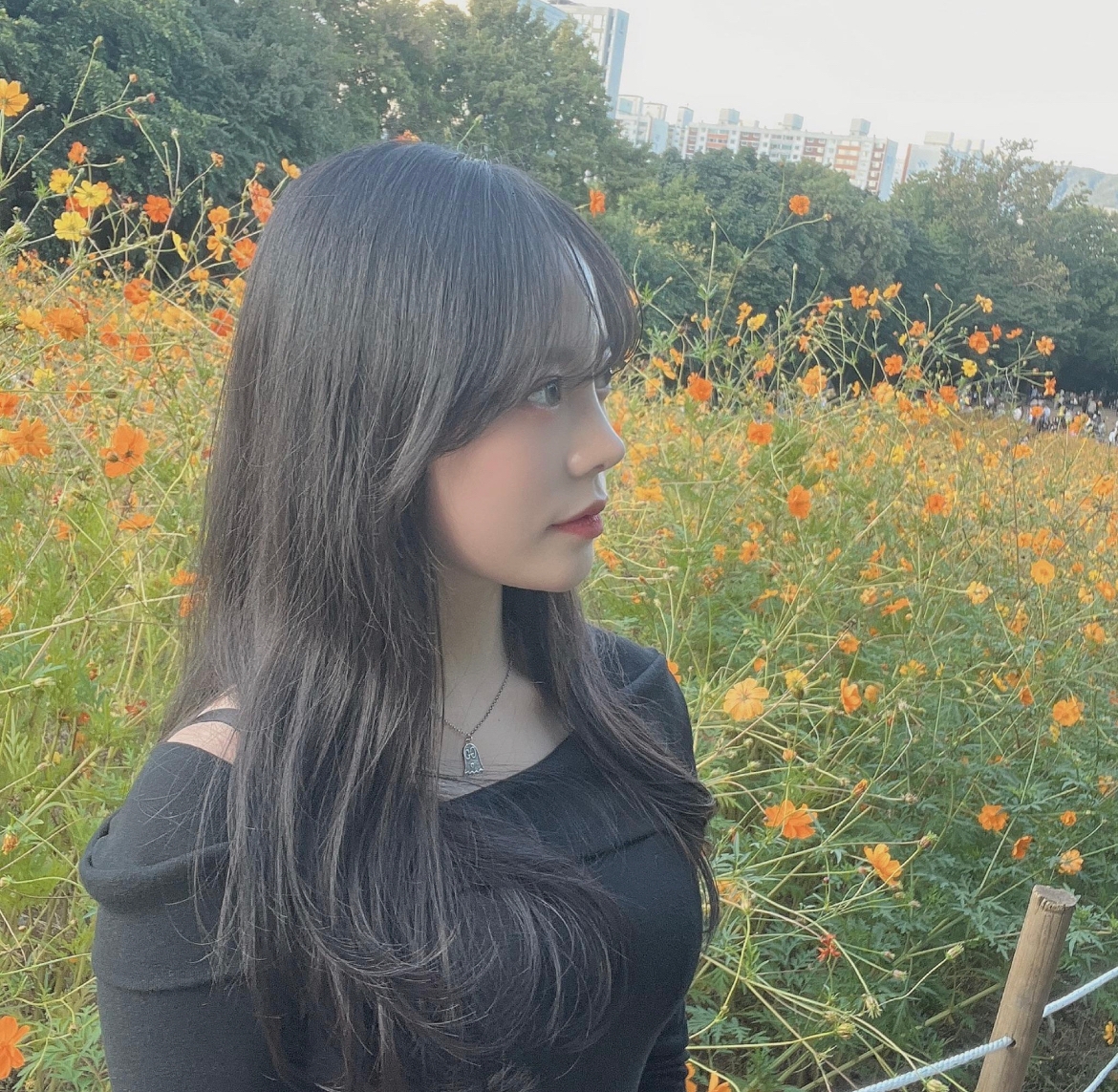 수술후기이미지